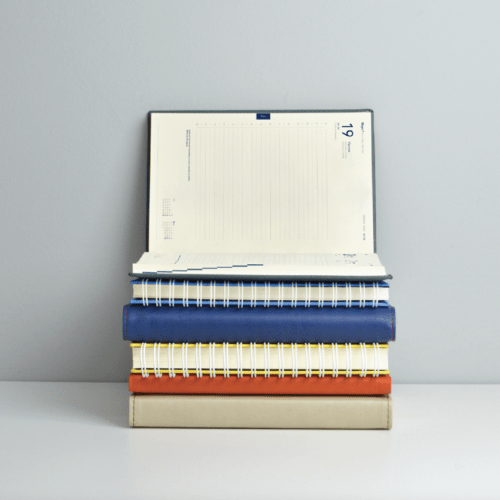 agendas 2026 bayon pellicer